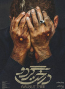 色虎官方版下载-色虎2026最新版V.46.480.843.160-2265安卓网